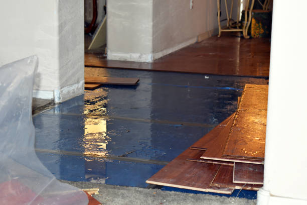 Professional Emergency Water Damage Restoration technician working in Royalston, MA